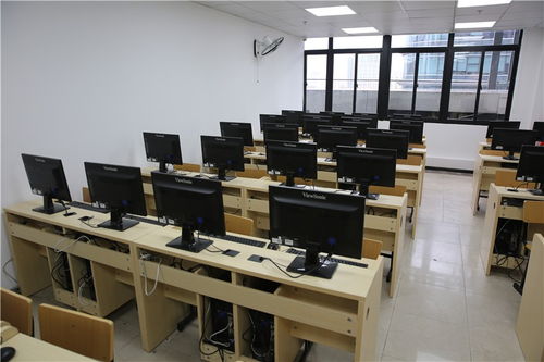 深圳軟件技術(shù)培訓全攻略 從軟件開發(fā)到游戲與數(shù)據(jù)庫實戰(zhàn)